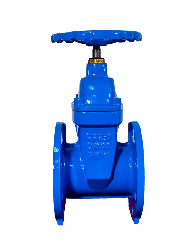 Manual Flanged BS5163 GGG50 Gate Valve