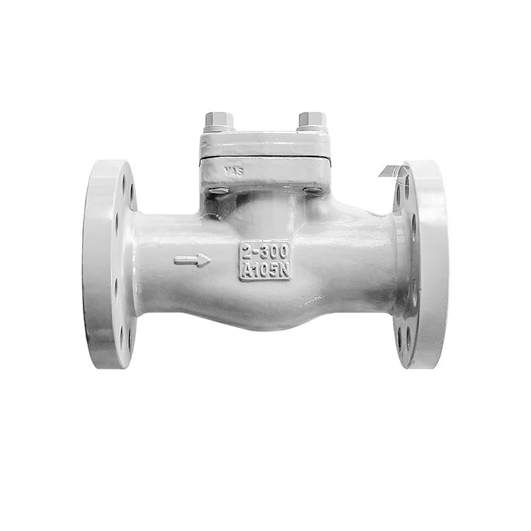 Oil-free Lift Check Valve