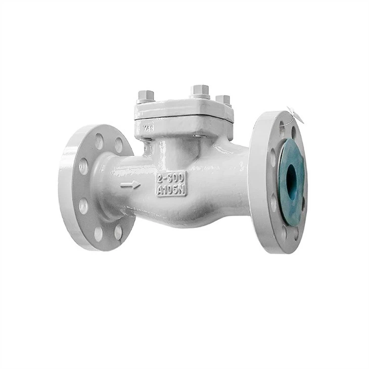 Oil-free Lift Check Valve