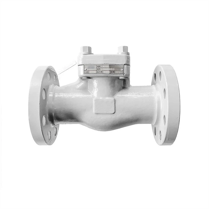 Oil-free Lift Check Valve