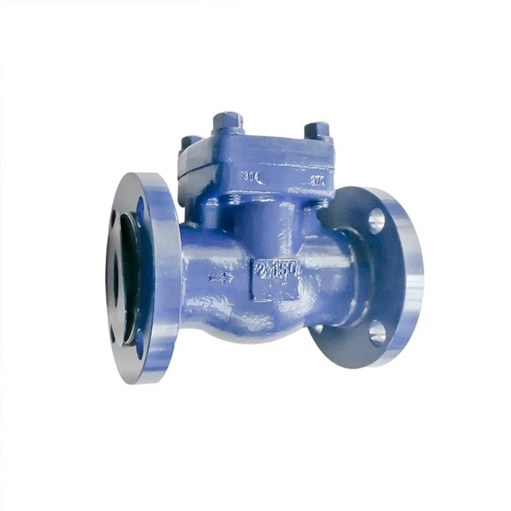 Oil-free Swing Check Valve
