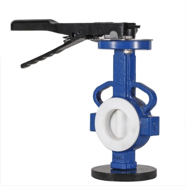 PTFE Lined Wafer Butterfly Valve