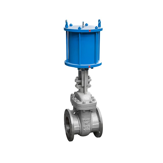Pneumatic Actuator Gate Valve