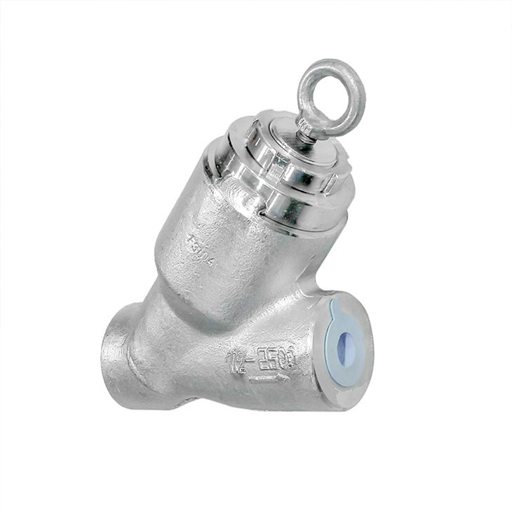 Pressure Seal Y Type Check Valves