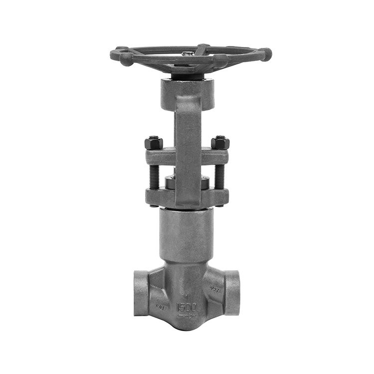 Self-sealing Socket Weld Globe Valve