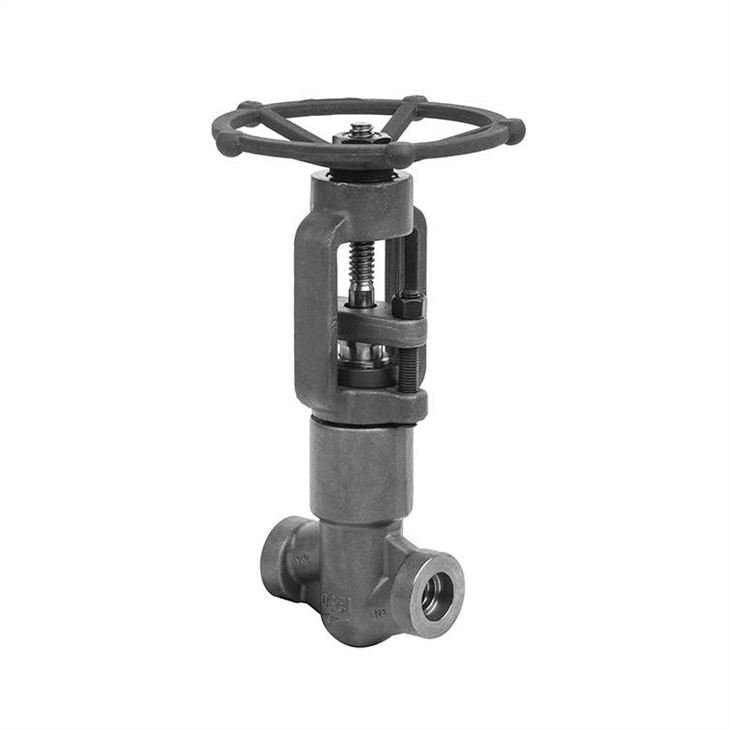 Self-sealing Socket Weld Globe Valve