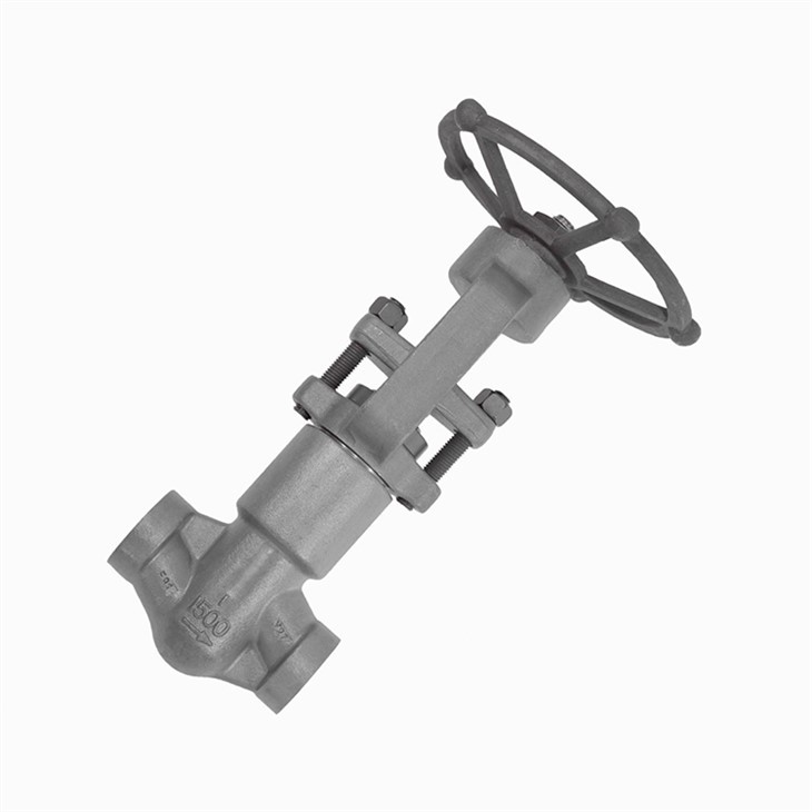 Self-sealing Socket Weld Globe Valve