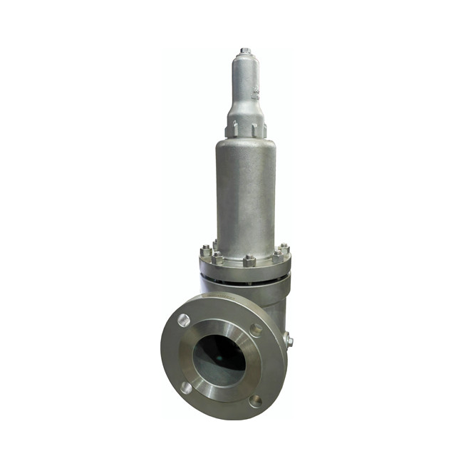 Spring Load Stainless Steel Safety Valve