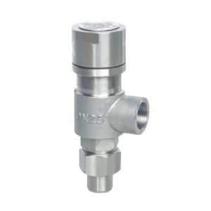 Spring Micro-Opening Safety Valve WCB