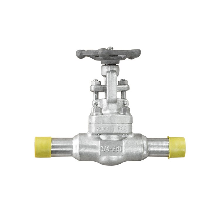 Stainless Steel Gate Valve With Extended Pipe