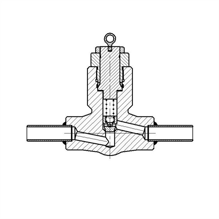 Stainless Steel Gate Valve With Extended Pipe