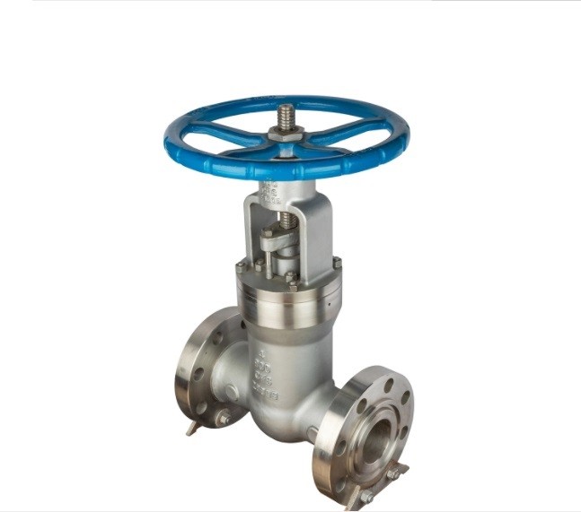 Stainless Steel Gate Valve