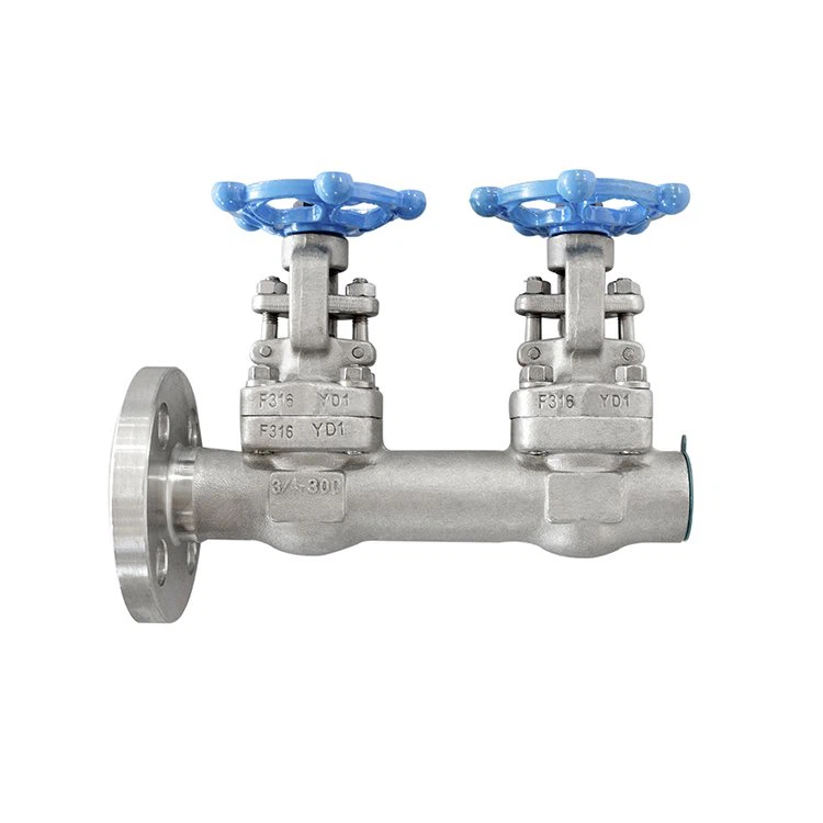 Stainless Steel Integral Double Gate Valve