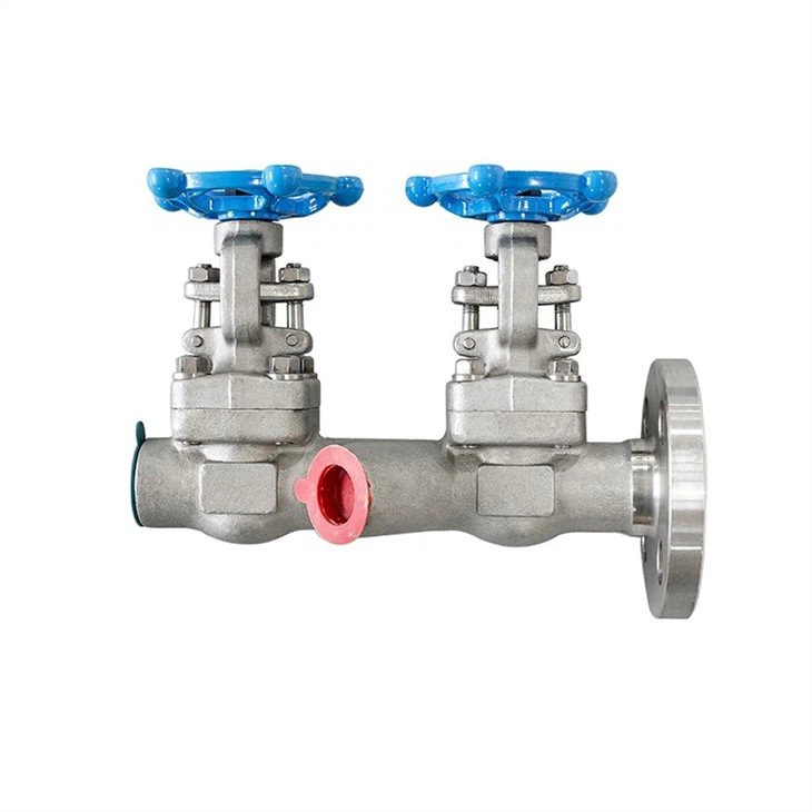 Stainless Steel Integral Double Gate Valve