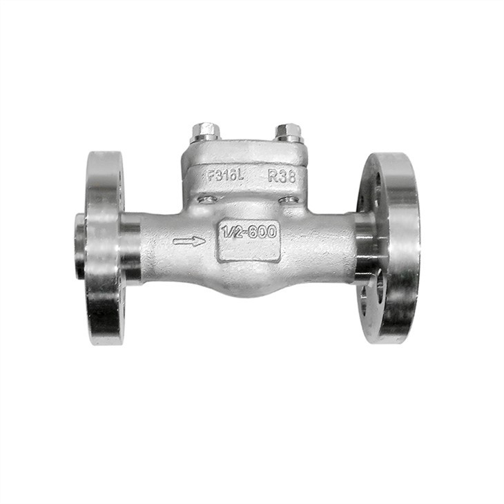 Stainless Steel Integral Flange Check Valve