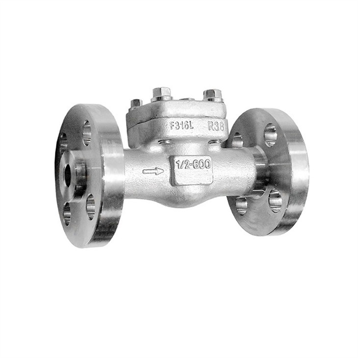 Stainless Steel Integral Flange Check Valve