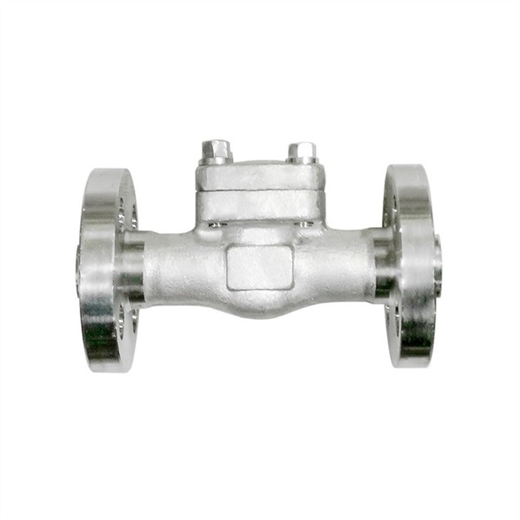 Stainless Steel Integral Flange Check Valve