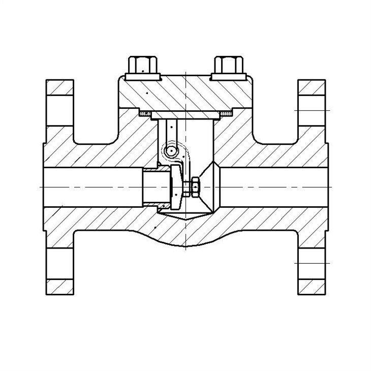 Stainless Steel Integral Flange Check Valve