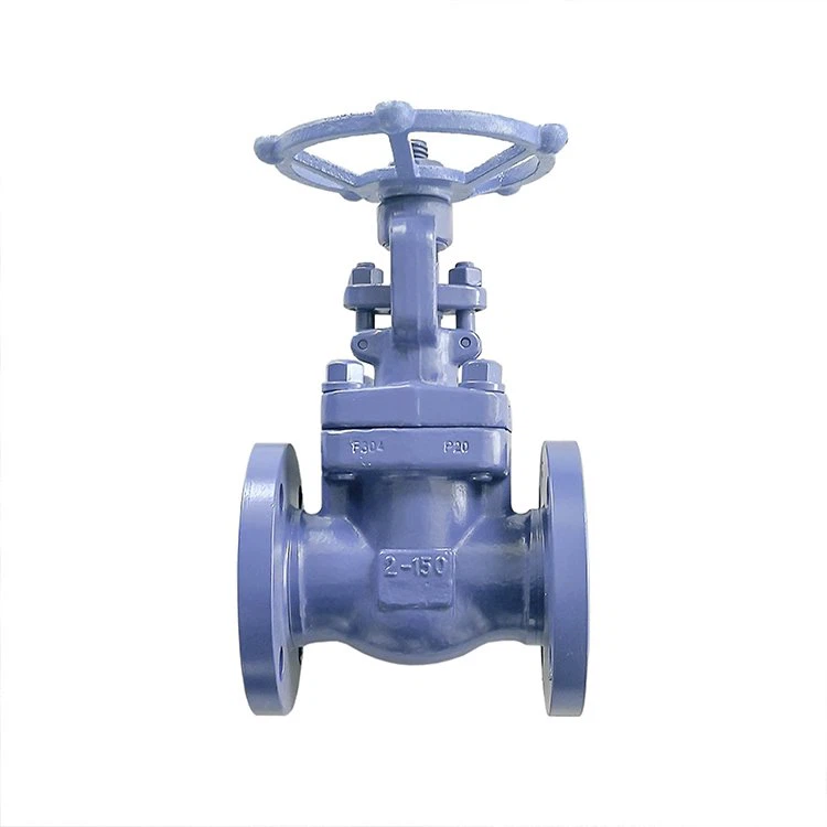 Stainless Steel Oil Forbidden Flange Gate Valve