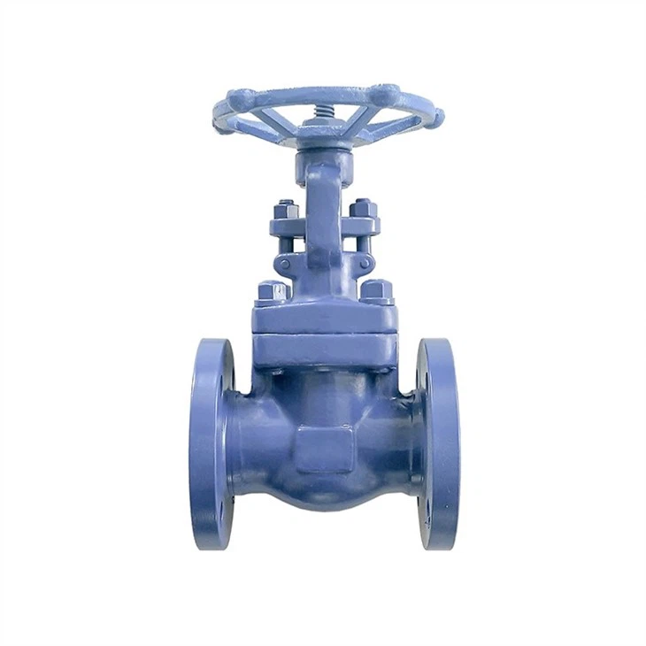 Stainless Steel Oil Forbidden Flange Gate Valve