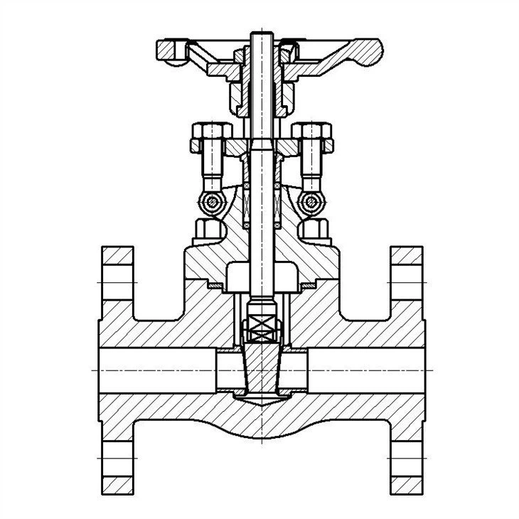 Stainless Steel Oil Forbidden Flange Gate Valve