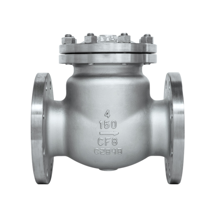 Stainless Steel Swing Check Valve