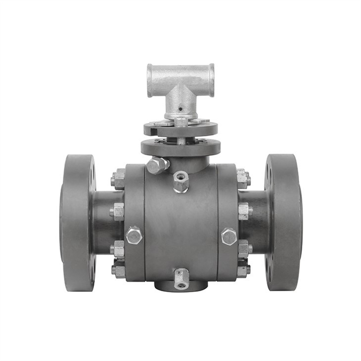 Turnnion Mounted Flanged Ball Valve