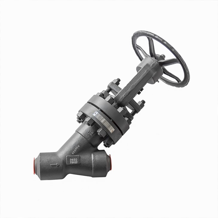 Y Type Bolted Bonnet Globe Valves