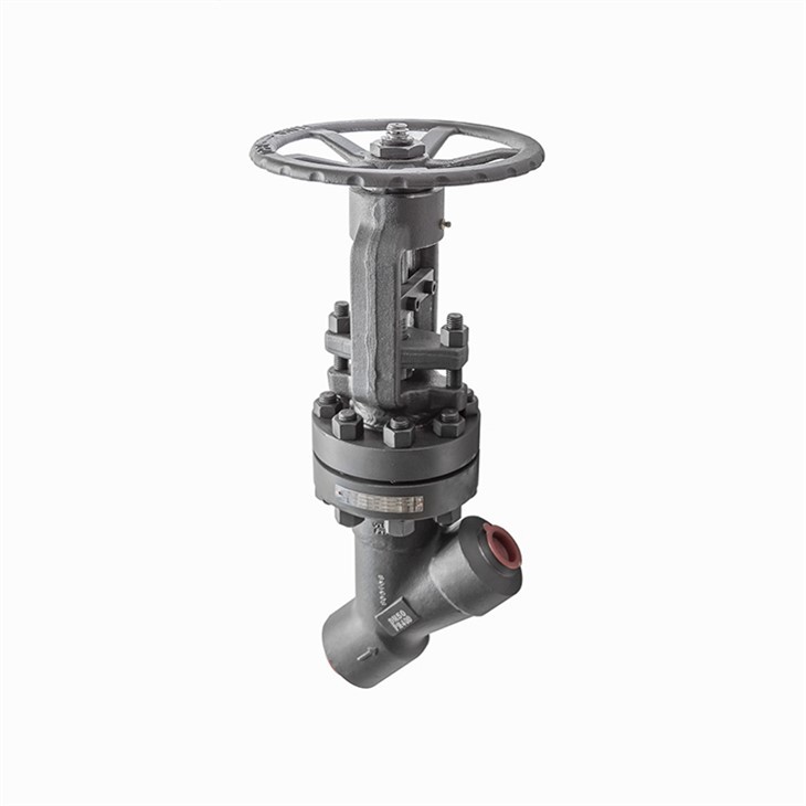 Y Type Bolted Bonnet Globe Valves